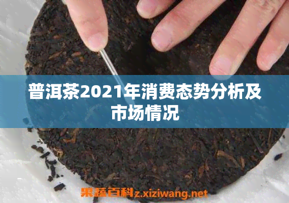 普洱茶2021年消费态势分析及市场情况