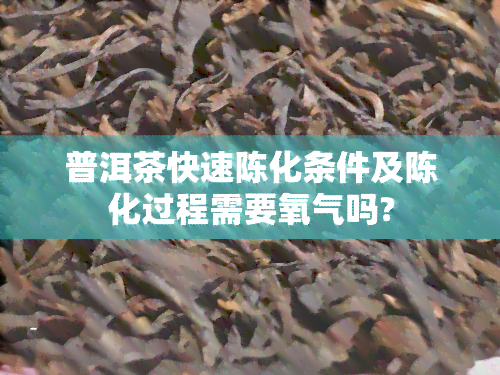 普洱茶快速陈化条件及陈化过程需要氧气吗?