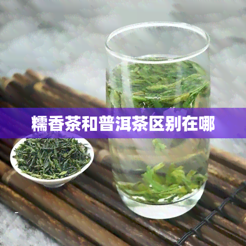 糯香茶和普洱茶区别在哪