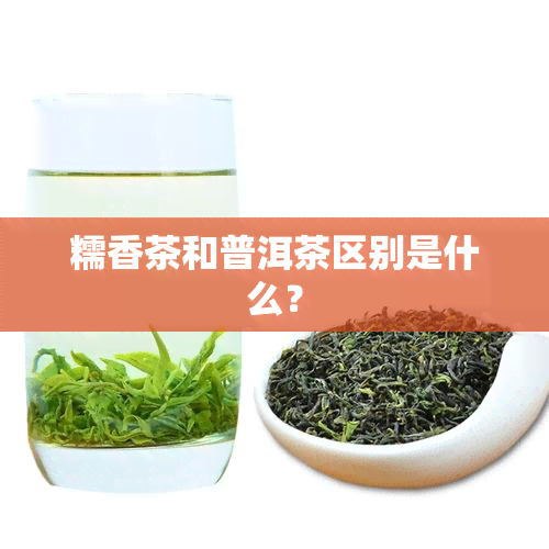 糯香茶和普洱茶区别是什么？