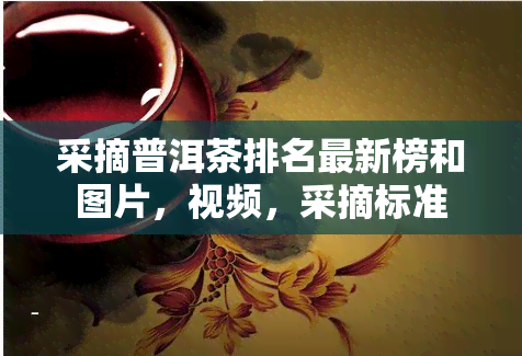 采摘普洱茶排名最新榜和图片，视频，采摘标准