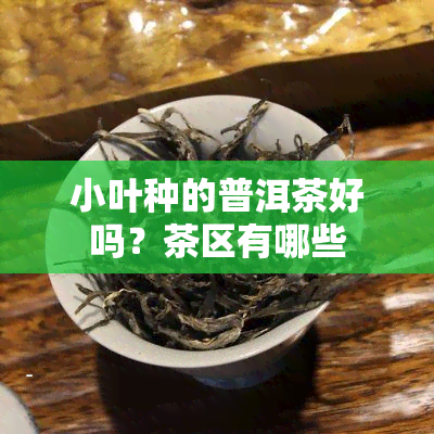 小叶种的普洱茶好吗？茶区有哪些