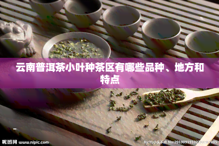 云南普洱茶小叶种茶区有哪些品种、地方和特点