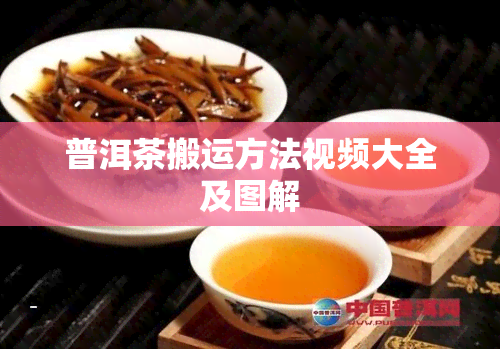 普洱茶搬运方法视频大全及图解