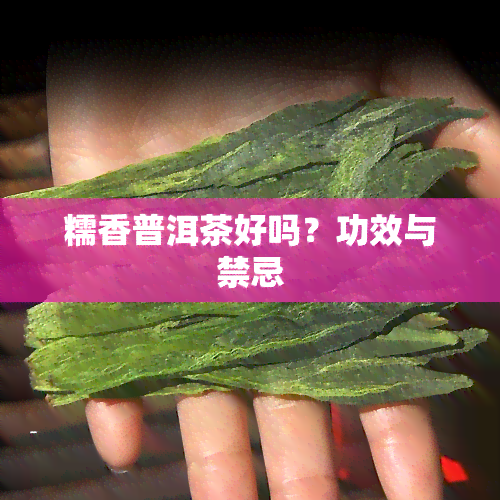 糯香普洱茶好吗？功效与禁忌