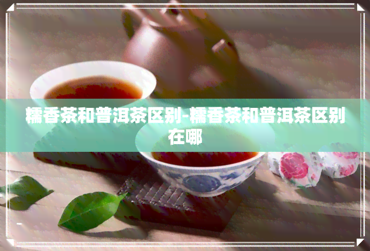 糯香茶和普洱茶区别-糯香茶和普洱茶区别在哪