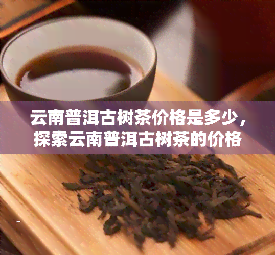 云南普洱古树茶价格是多少，探索云南普洱古树茶的价格迷雾