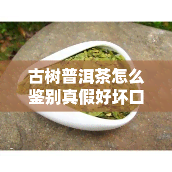 古树普洱茶怎么鉴别真假好坏口感