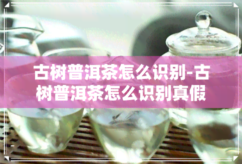 古树普洱茶怎么识别-古树普洱茶怎么识别真假