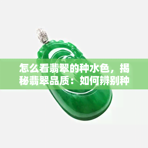 怎么看翡翠的种水色，揭秘翡翠品质：如何辨别种水色？