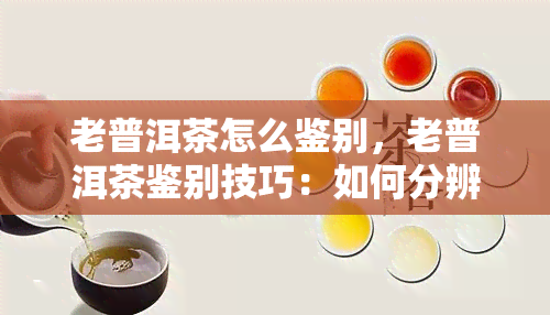 老普洱茶怎么鉴别，老普洱茶鉴别技巧：如何分辨真伪？