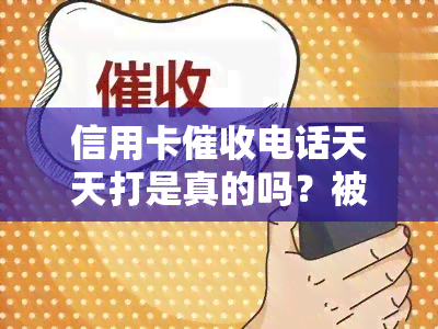 信用卡电话天天打是真的吗？被员打电话怎么办？