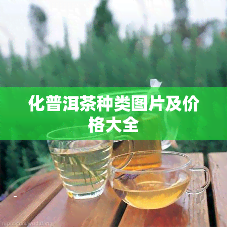 化普洱茶种类图片及价格大全