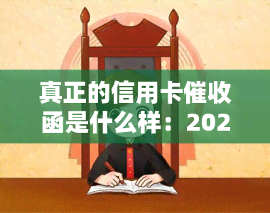 真正的信用卡函是什么样：2020年规定和员