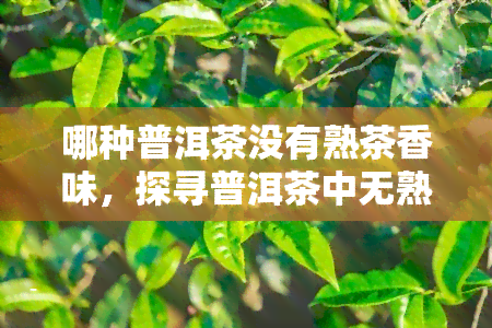 哪种普洱茶没有熟茶香味，探寻普洱茶中无熟茶香的品种：你知道哪种茶不具备这种特质吗？