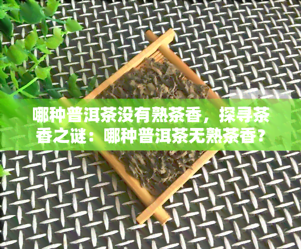 哪种普洱茶没有熟茶香，探寻茶香之谜：哪种普洱茶无熟茶香？