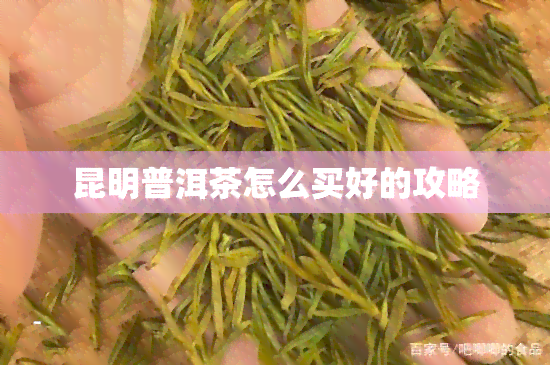 昆明普洱茶怎么买好的攻略