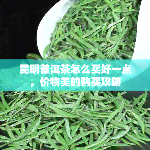 昆明普洱茶怎么买好一点，价物美的购买攻略