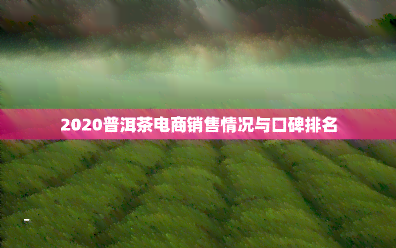 2020普洱茶电商销售情况与口碑排名