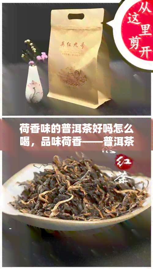 荷香味的普洱茶好吗怎么喝，品味荷香——普洱茶的独特饮法