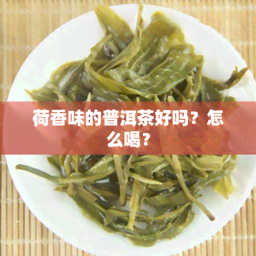 荷香味的普洱茶好吗？怎么喝？