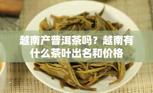 越南产普洱茶吗？越南有什么茶叶出名和价格