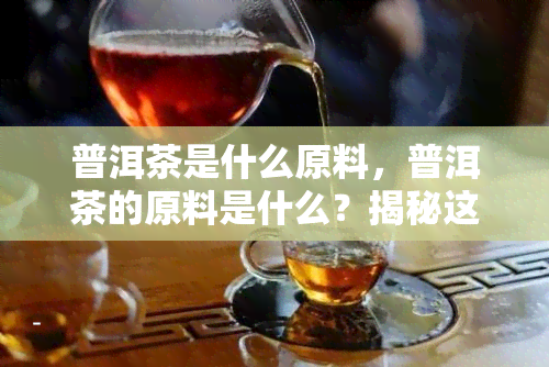 普洱茶是什么原料，普洱茶的原料是什么？揭秘这种古老饮品的制作秘密！