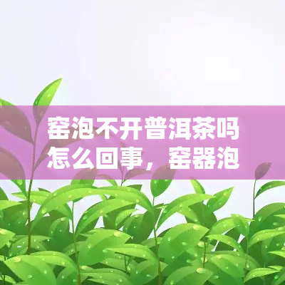 窑泡不开普洱茶吗怎么回事，窑器泡普洱茶有问题？探究其原因！