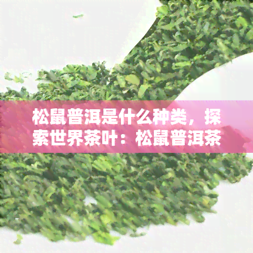 松鼠普洱是什么种类，探索世界茶叶：松鼠普洱茶的种类与品味