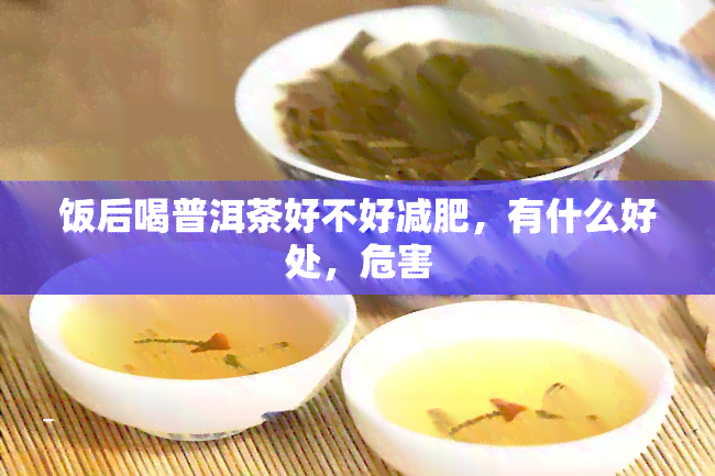 饭后喝普洱茶好不好减肥，有什么好处，危害