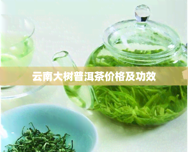 云南大树普洱茶价格及功效