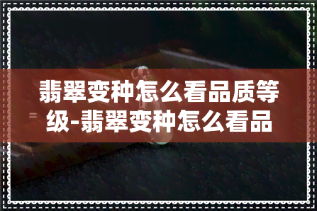 翡翠变种怎么看品质等级-翡翠变种怎么看品质等级高低