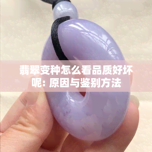 翡翠变种怎么看品质好坏呢: 原因与鉴别方法