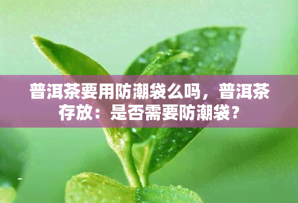 普洱茶要用防潮袋么吗，普洱茶存放：是否需要防潮袋？