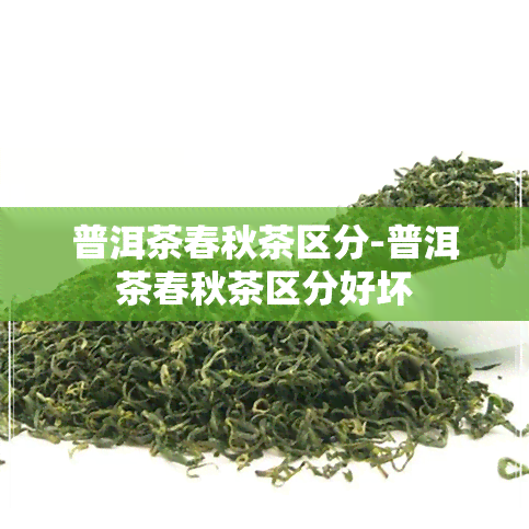 普洱茶春秋茶区分-普洱茶春秋茶区分好坏