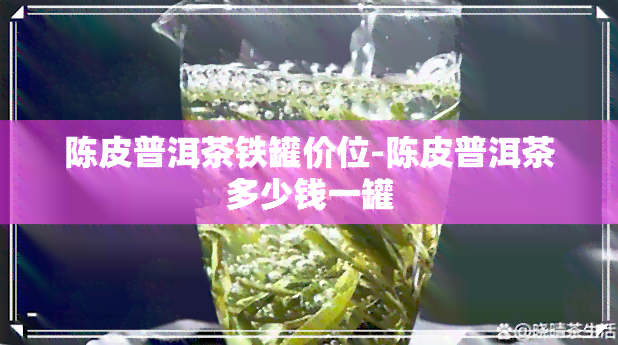 陈皮普洱茶铁罐价位-陈皮普洱茶多少钱一罐