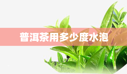 普洱茶用多少度水泡