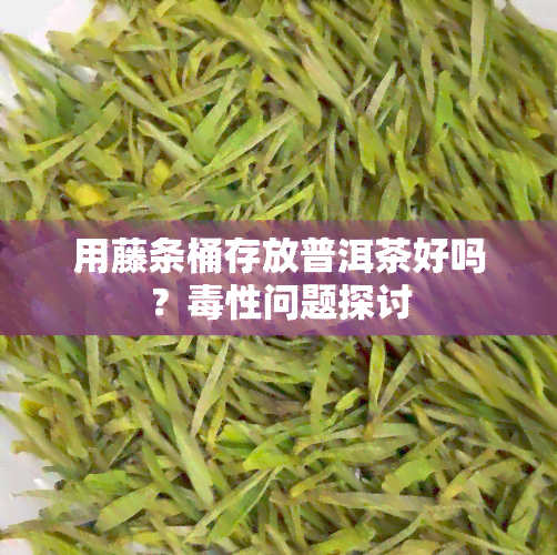 用藤条桶存放普洱茶好吗？性问题探讨