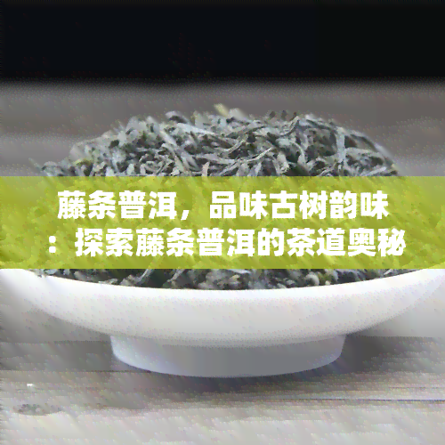 藤条普洱，品味古树韵味：探索藤条普洱的茶道奥秘