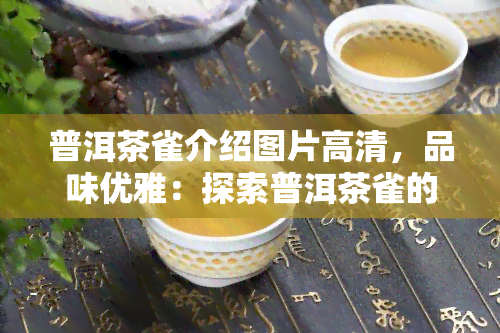 普洱茶雀介绍图片高清，品味优雅：探索普洱茶雀的高清介绍图片