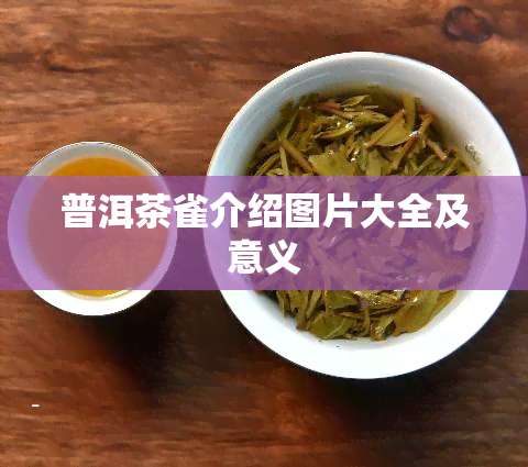 普洱茶雀介绍图片大全及意义