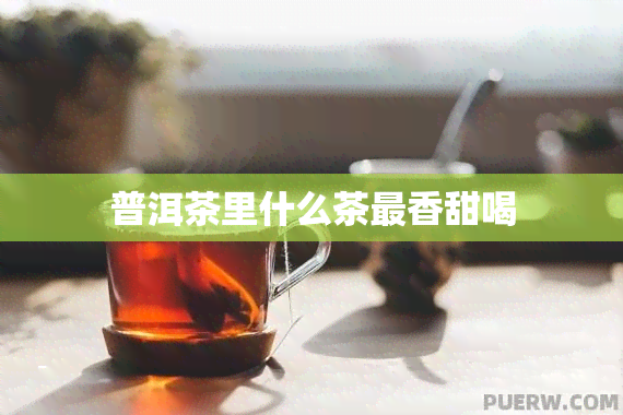 普洱茶里什么茶最香甜喝