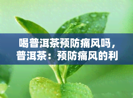 喝普洱茶预防痛风吗，普洱茶：预防痛风的利器？