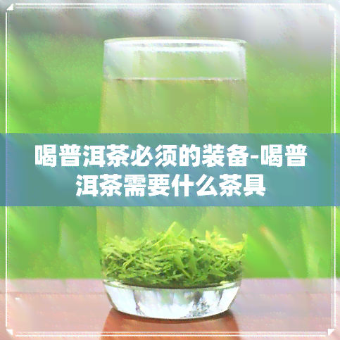 喝普洱茶必须的装备-喝普洱茶需要什么茶具