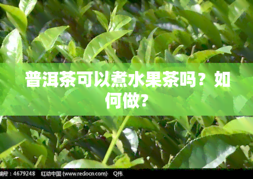 普洱茶可以煮水果茶吗？如何做？