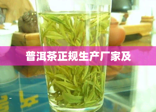 普洱茶正规生产厂家及