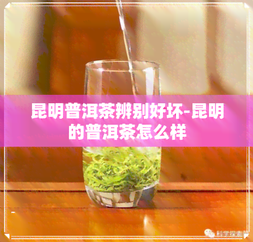 昆明普洱茶辨别好坏-昆明的普洱茶怎么样