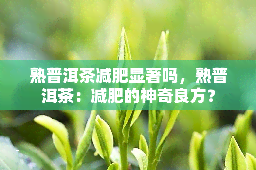 熟普洱茶减肥显著吗，熟普洱茶：减肥的神奇良方？