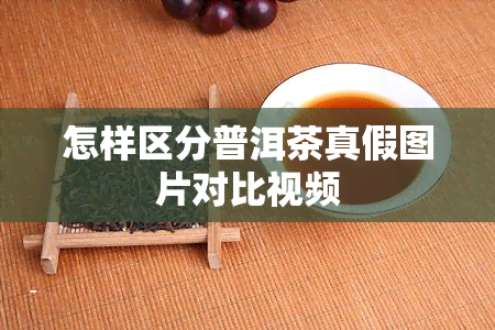 怎样区分普洱茶真假图片对比视频