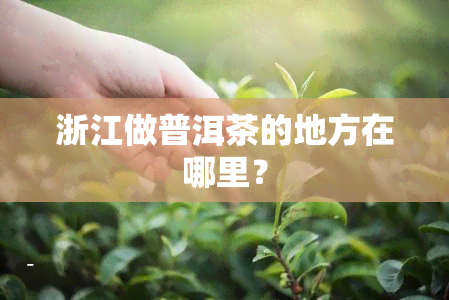 浙江做普洱茶的地方在哪里？